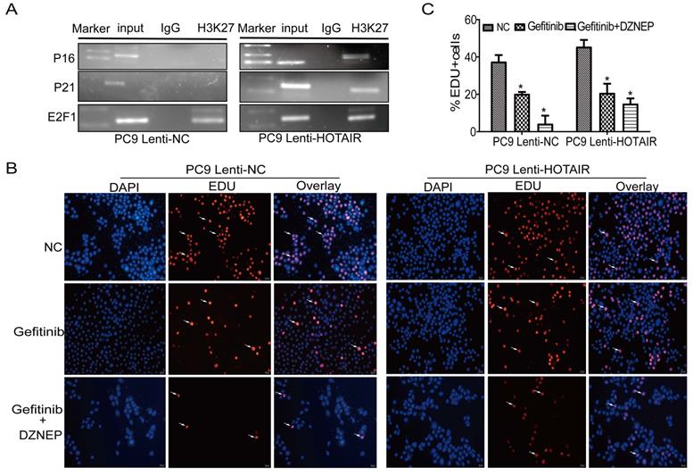 J Cancer Image