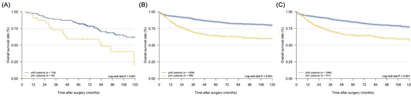 J Cancer Image