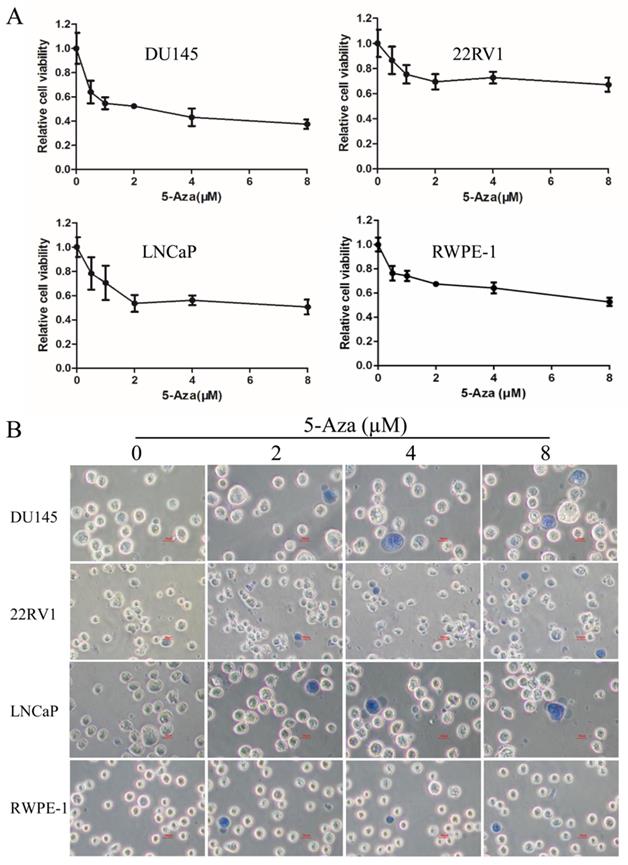 J Cancer Image