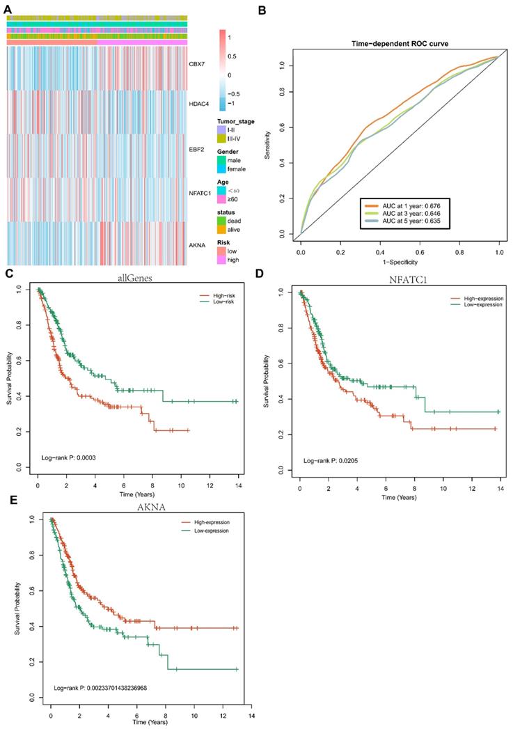 J Cancer Image