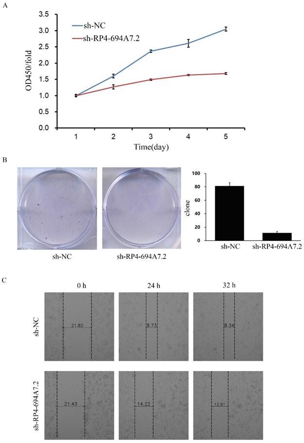 J Cancer Image