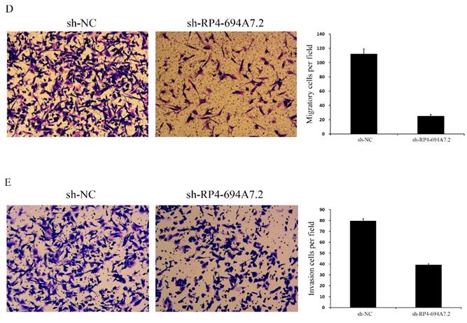 J Cancer Image