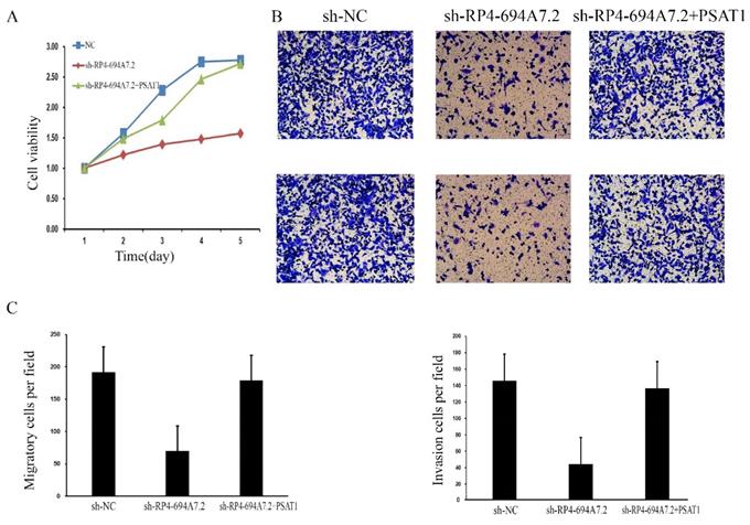 J Cancer Image