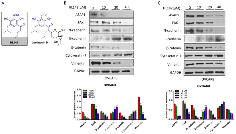 J Cancer Image