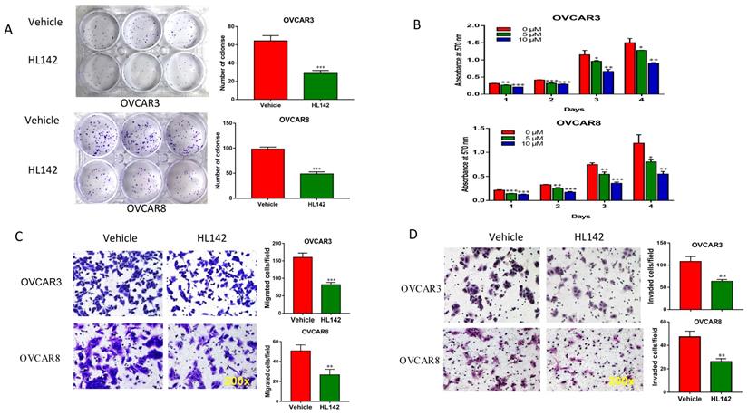 J Cancer Image