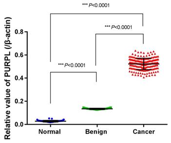 J Cancer Image