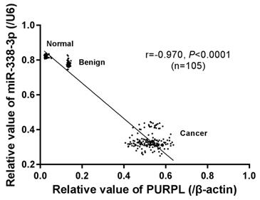 J Cancer Image