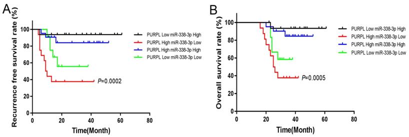 J Cancer Image