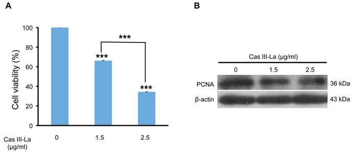 J Cancer Image