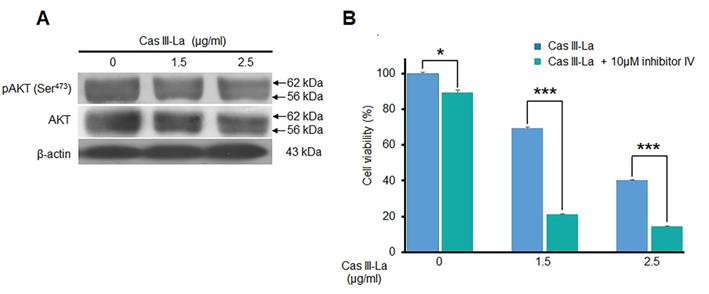 J Cancer Image