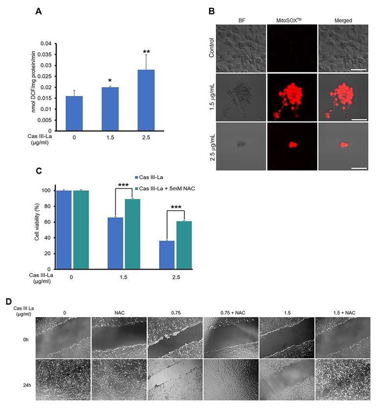 J Cancer Image