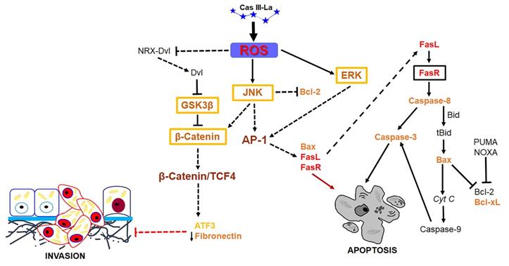 J Cancer Image