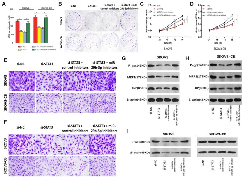 J Cancer Image