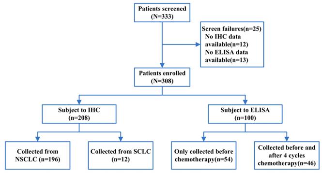 J Cancer Image