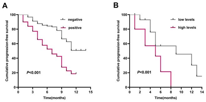 J Cancer Image