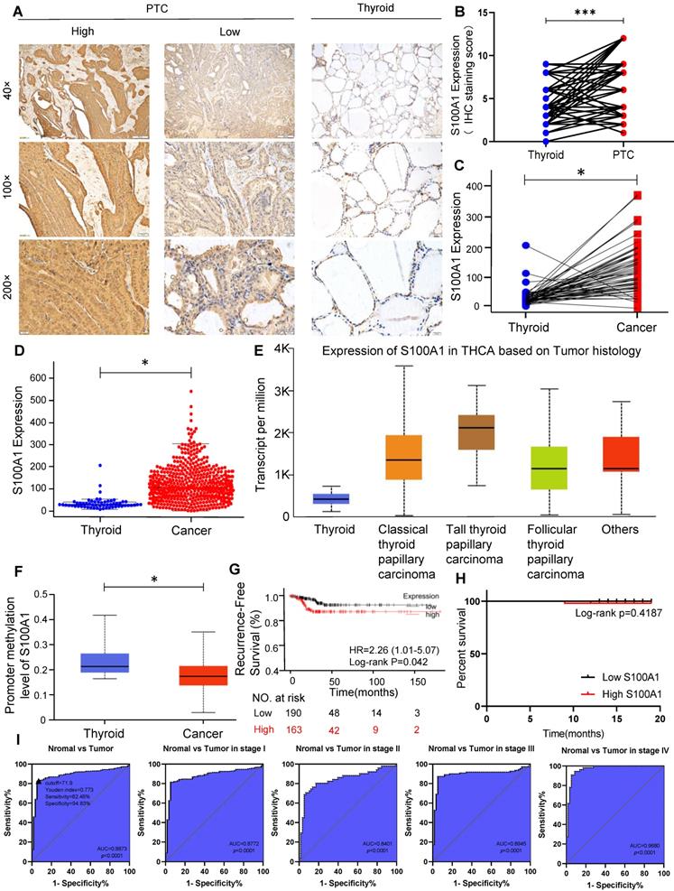 J Cancer Image