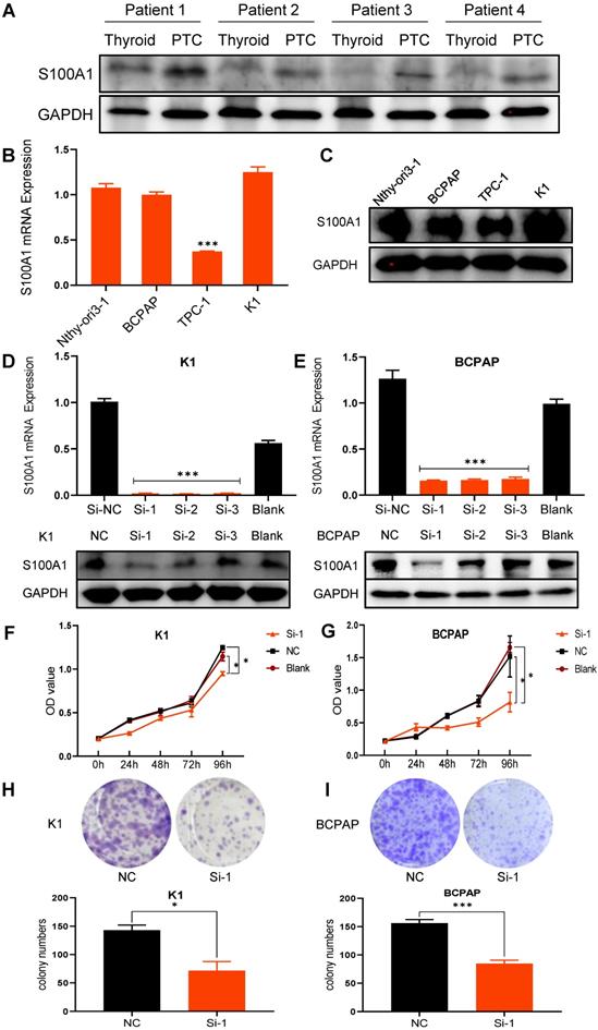 J Cancer Image