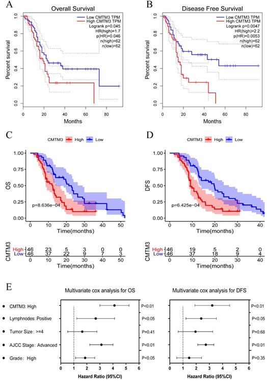 J Cancer Image