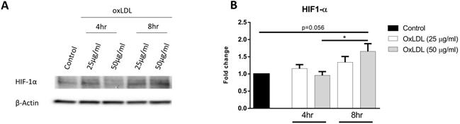 J Cancer Image