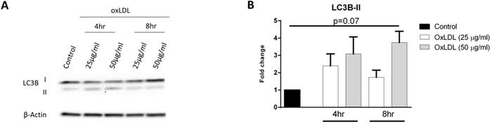 J Cancer Image