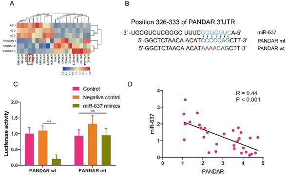 J Cancer Image