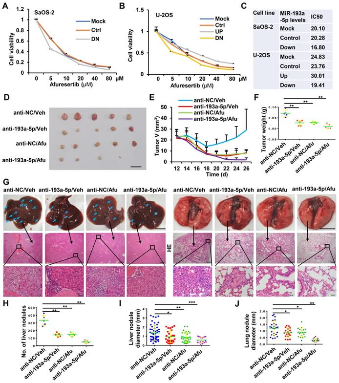 J Cancer Image