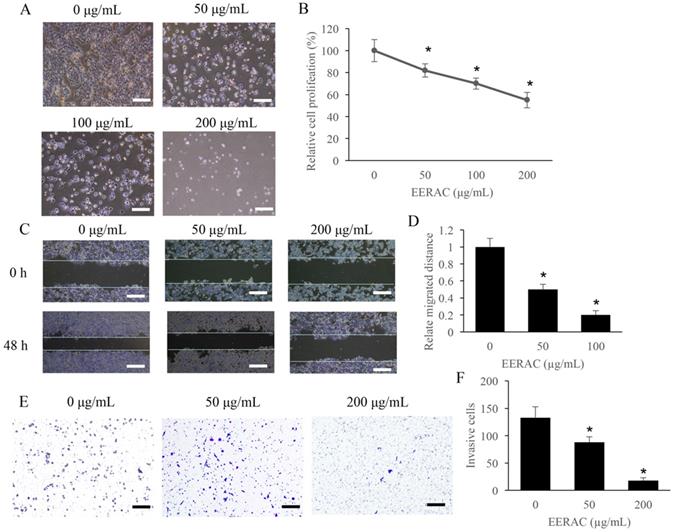 J Cancer Image