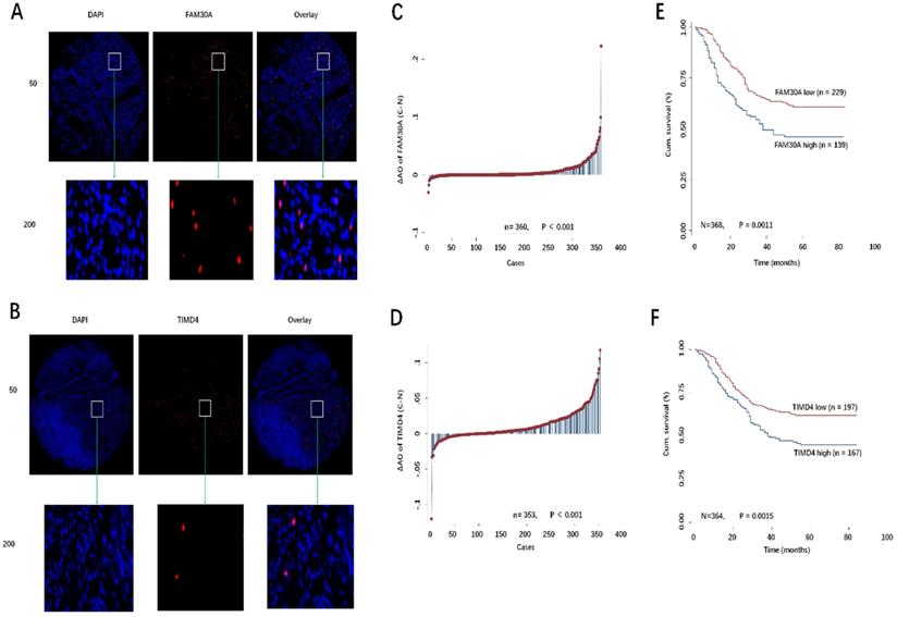 J Cancer Image