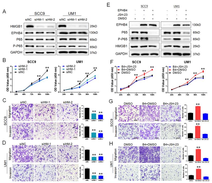 J Cancer Image