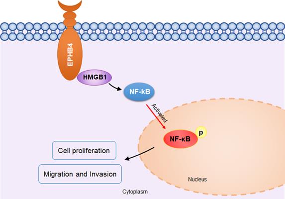 J Cancer Image