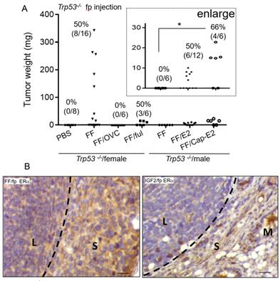 J Cancer Image