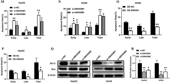 J Cancer Image