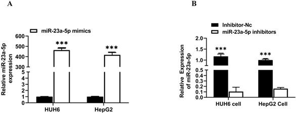 J Cancer Image