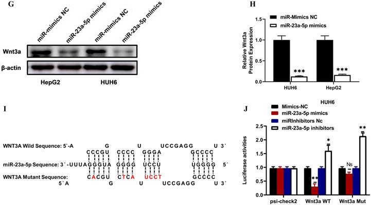 J Cancer Image