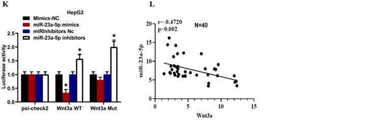 J Cancer Image