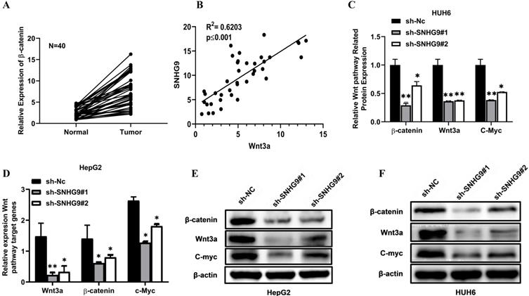 J Cancer Image