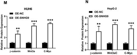 J Cancer Image