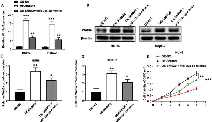 J Cancer Image