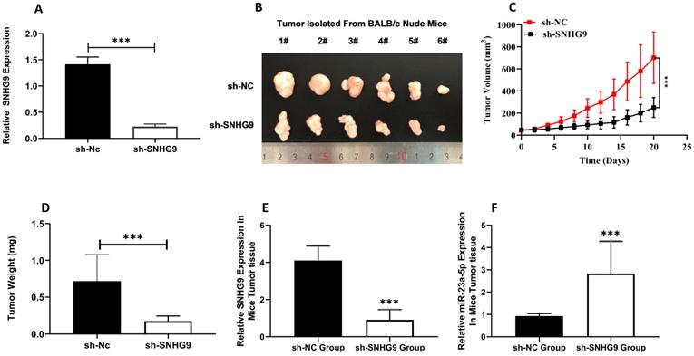 J Cancer Image