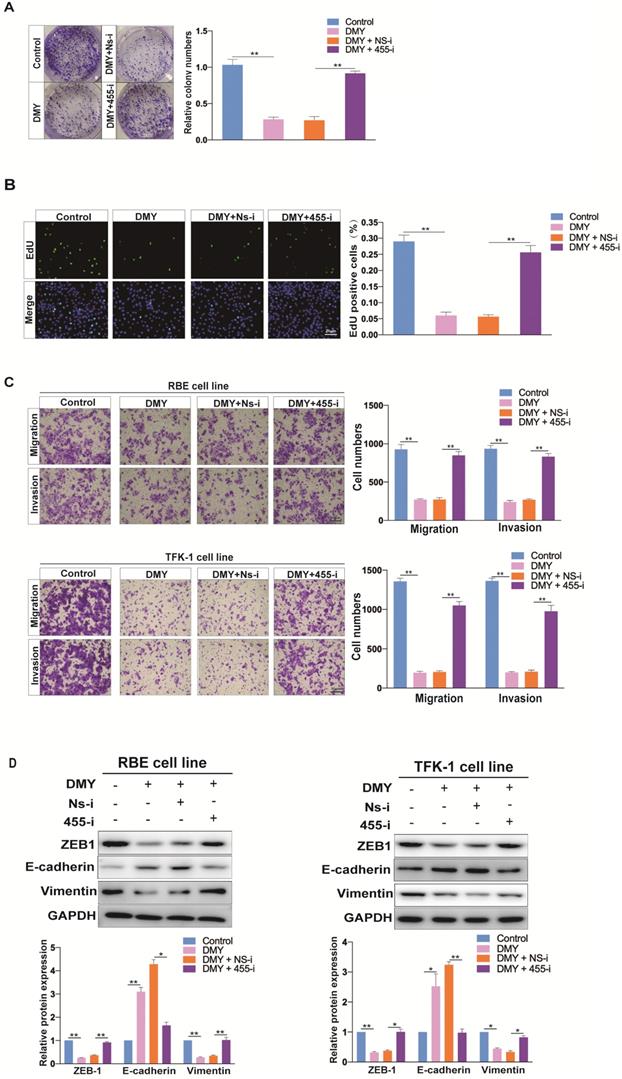 J Cancer Image