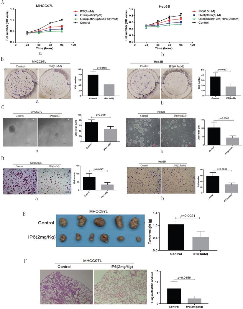 J Cancer Image