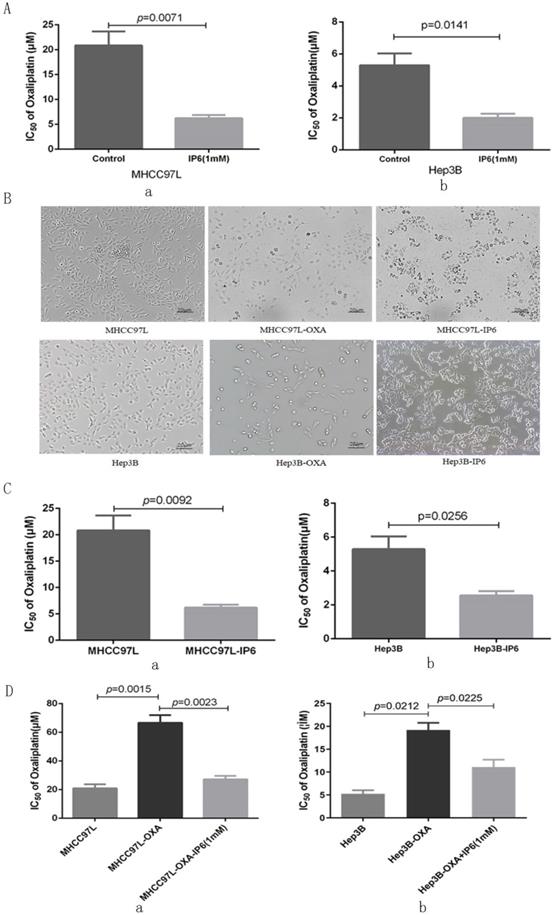 J Cancer Image