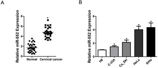 J Cancer Image