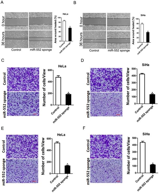 J Cancer Image