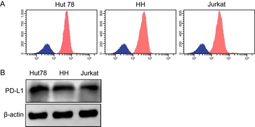 J Cancer Image