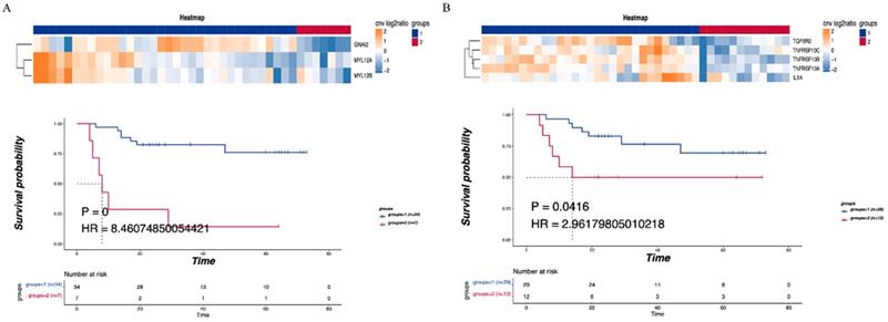 J Cancer Image