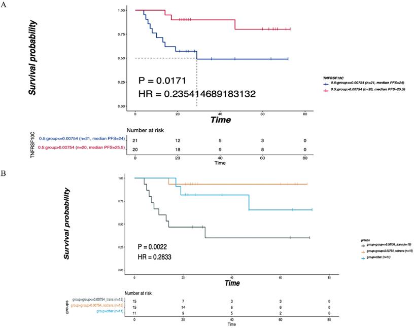 J Cancer Image