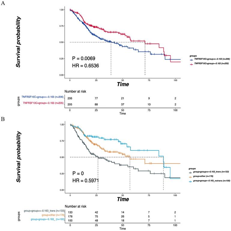 J Cancer Image