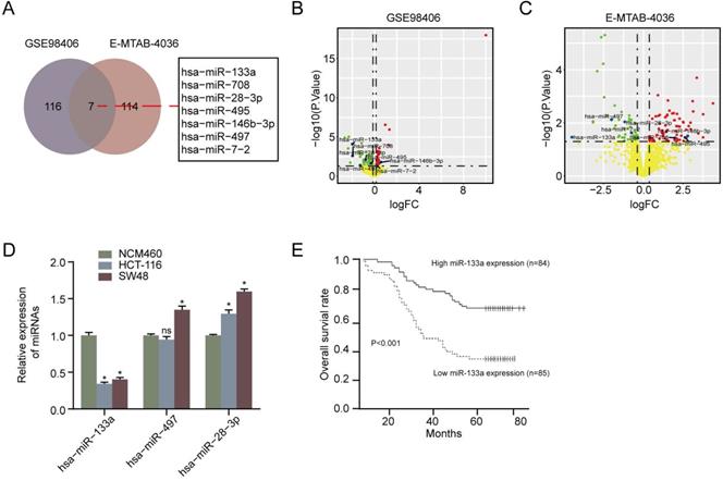 J Cancer Image