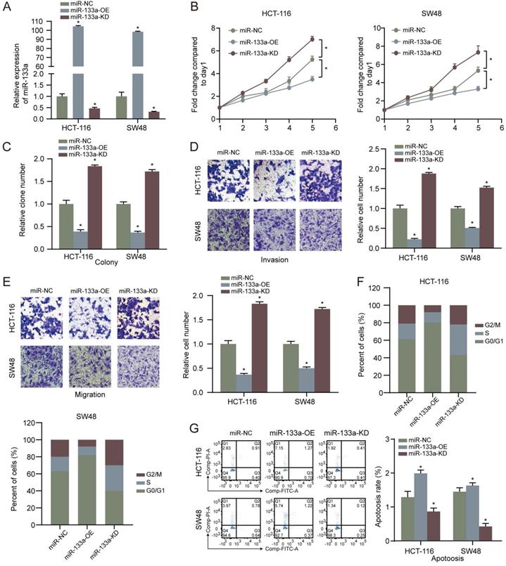 J Cancer Image